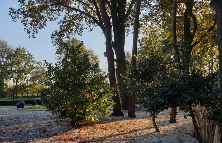 Guest house 385822 - Holiday property Noord Limburg - Vakantiehuisje in Heythuysen