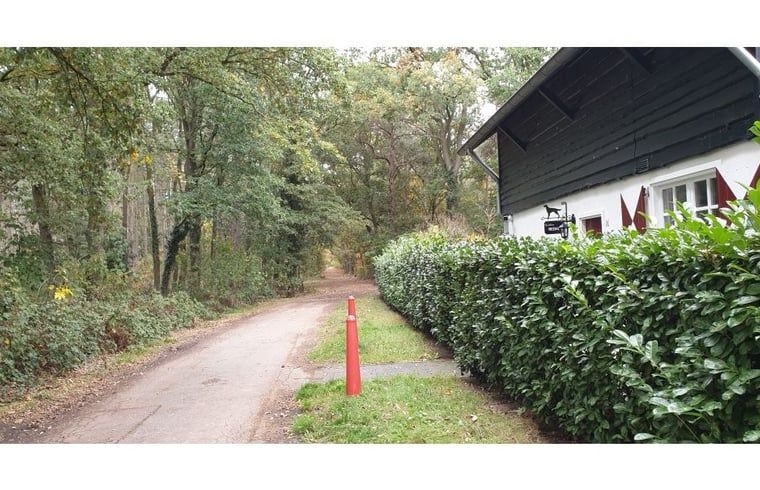 Guest house 385822 - Holiday property Noord Limburg - Vakantiehuisje in Heythuysen