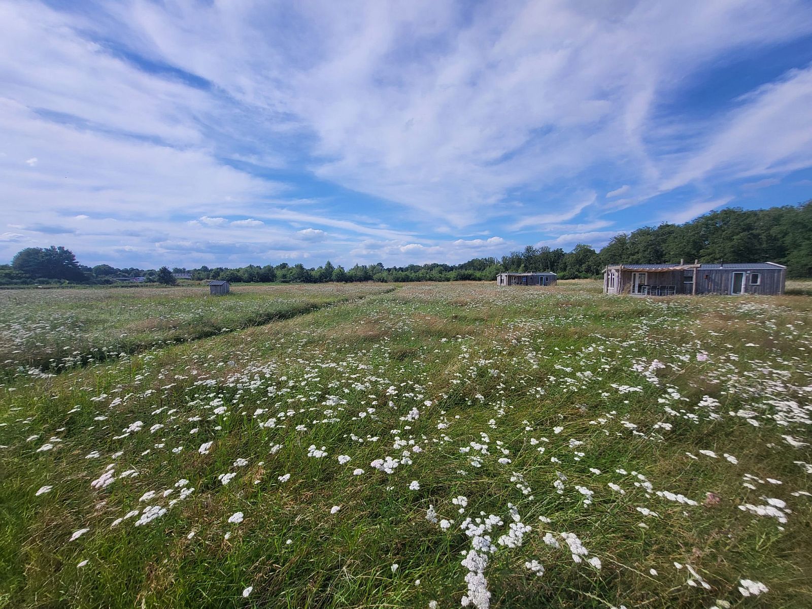 Unterkunft 385826 - Ferienhaus Noord Limburg - Vakantiehuis Hoeve Twente - De Oeverzwaluw