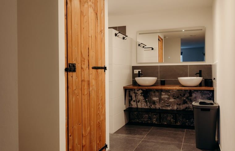 Badkamer in Vakantiehuisje in Grashoek, Noord Limburg. Stijlvolle wastafels en houten details in de badkamer.