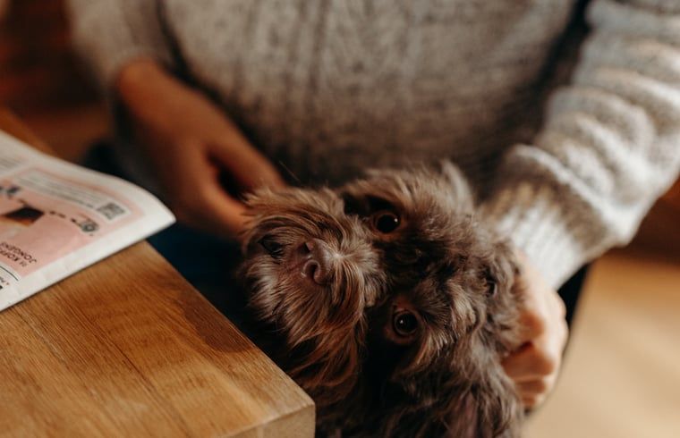 Terras bij Vakantiehuisje in Grashoek, Noord Limburg. Buitenruimte met tafel en stoelen onder een parasol.