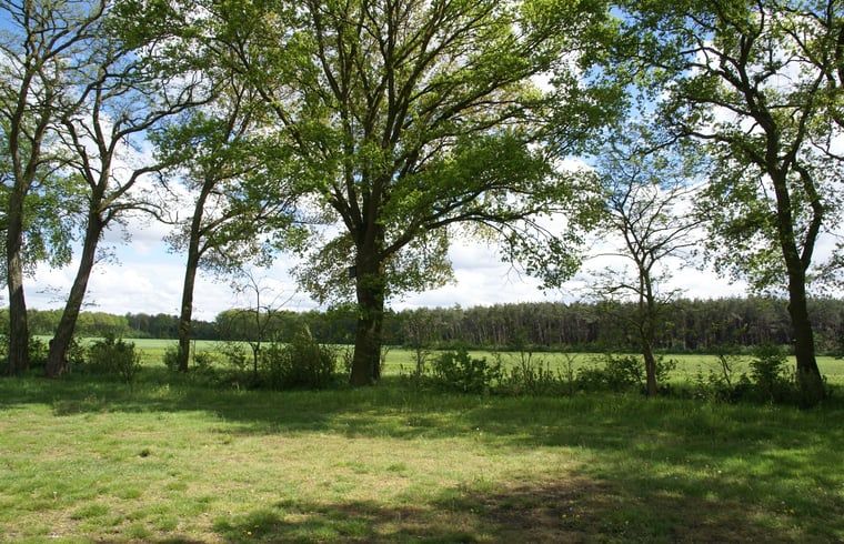 Verblijf 386203 - Vakantiewoning Noord Limburg - Vakantiehuisje in Grashoek