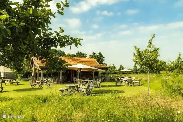 Unterkunft 386208 - Ferienhaus Noord Limburg - In de 7e Hemel 1