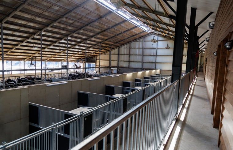 Guest house 386902 - Holiday property Noord Limburg - Vakantiehuis in Broekhuizen LB