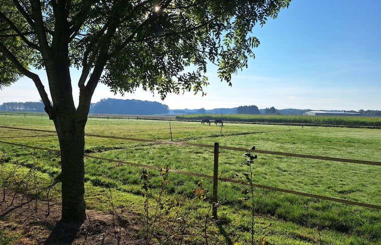 Guest house 386902 - Holiday property Noord Limburg - Vakantiehuis in Broekhuizen LB