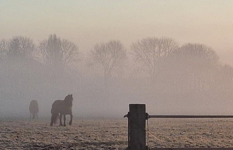 Guest house 386902 - Holiday property Noord Limburg - Vakantiehuis in Broekhuizen LB