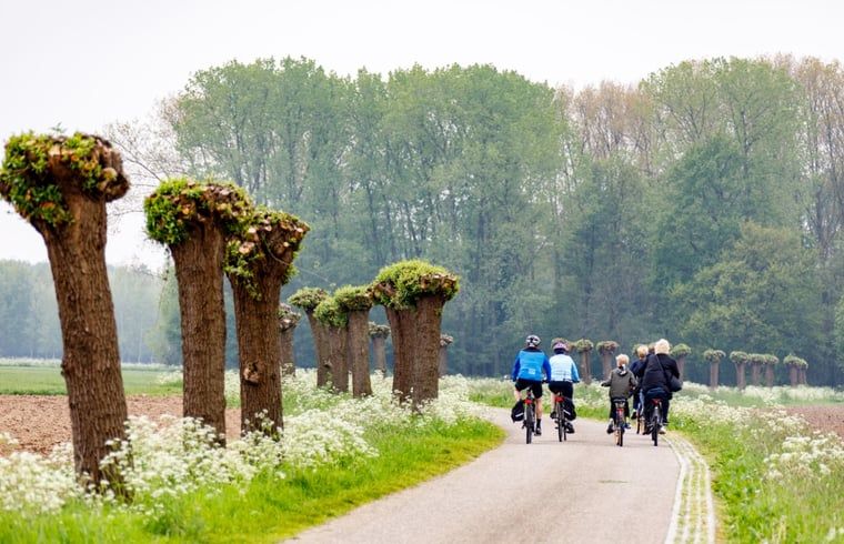 Guest house 386902 - Holiday property Noord Limburg - Vakantiehuis in Broekhuizen LB