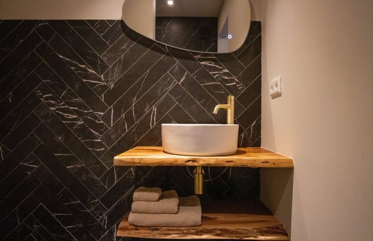 Stijlvolle badkamer in Vakantiehuis in Griendtsveen, Noord Limburg, met moderne wastafel en houten details, ideaal voor een ontspannen verblijf.