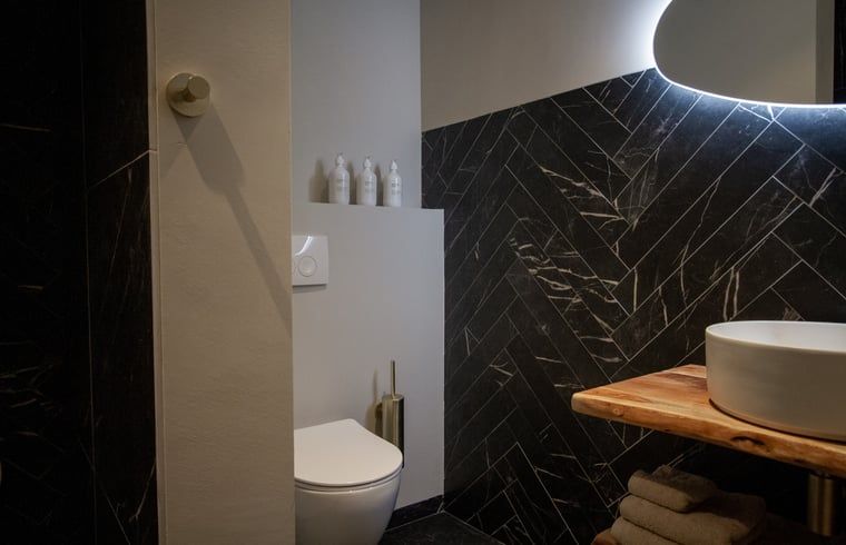 Verblijf 387001 - Vakantiewoning Noord Limburg - Vakantiehuis in Griendtsveen