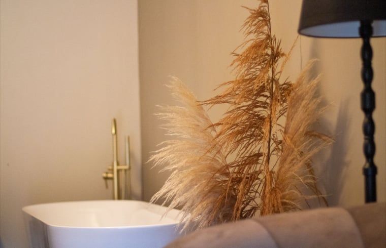 Verblijf 387001 - Vakantiewoning Noord Limburg - Vakantiehuis in Griendtsveen