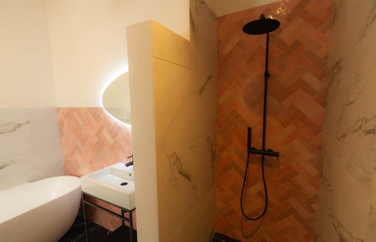 Luxe badkamer in Vakantiehuisje in Griendtsveen, Noord Limburg, met moderne douche en stijlvolle wastafel voor ultiem comfort.