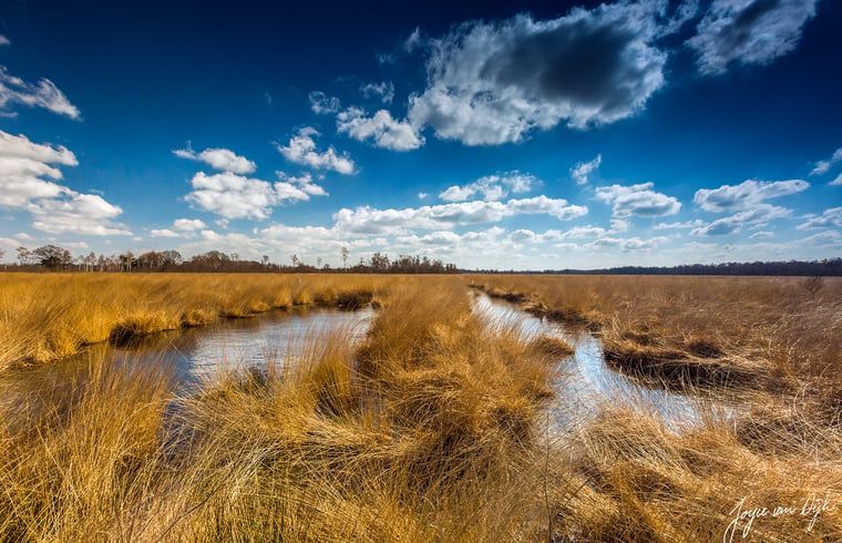 Verblijf 387002 - Vakantiewoning Noord Limburg - Vakantiehuisje in Griendtsveen