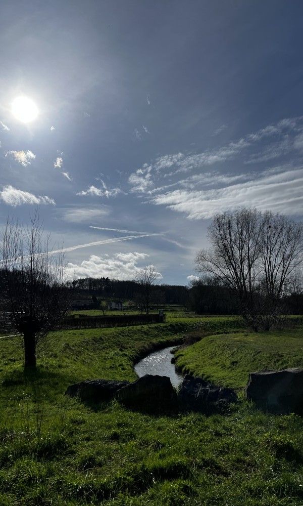 Guest house 390106 - Bed and Breakfast Zuid Limburg - Bed and Breakfast Ellen Maastricht