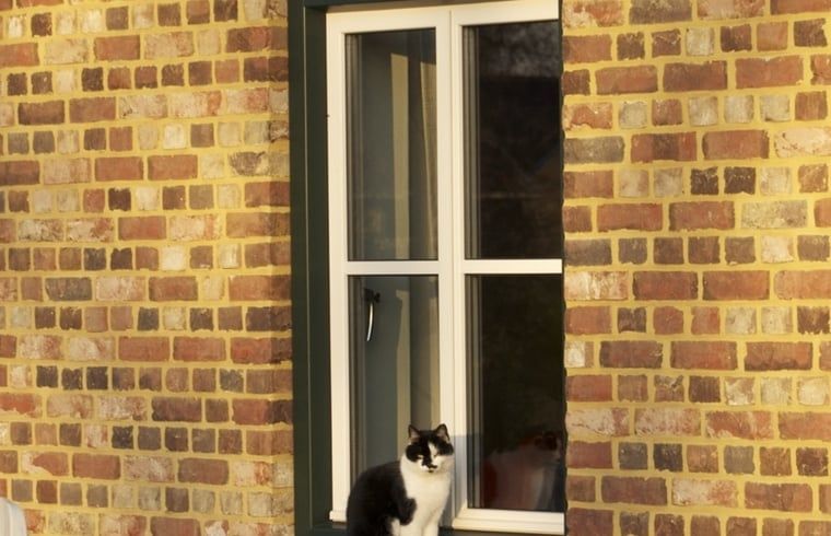 Verblijf 390503 - Vakantiewoning Zuid Limburg - Vakantiehuis in Mechelen