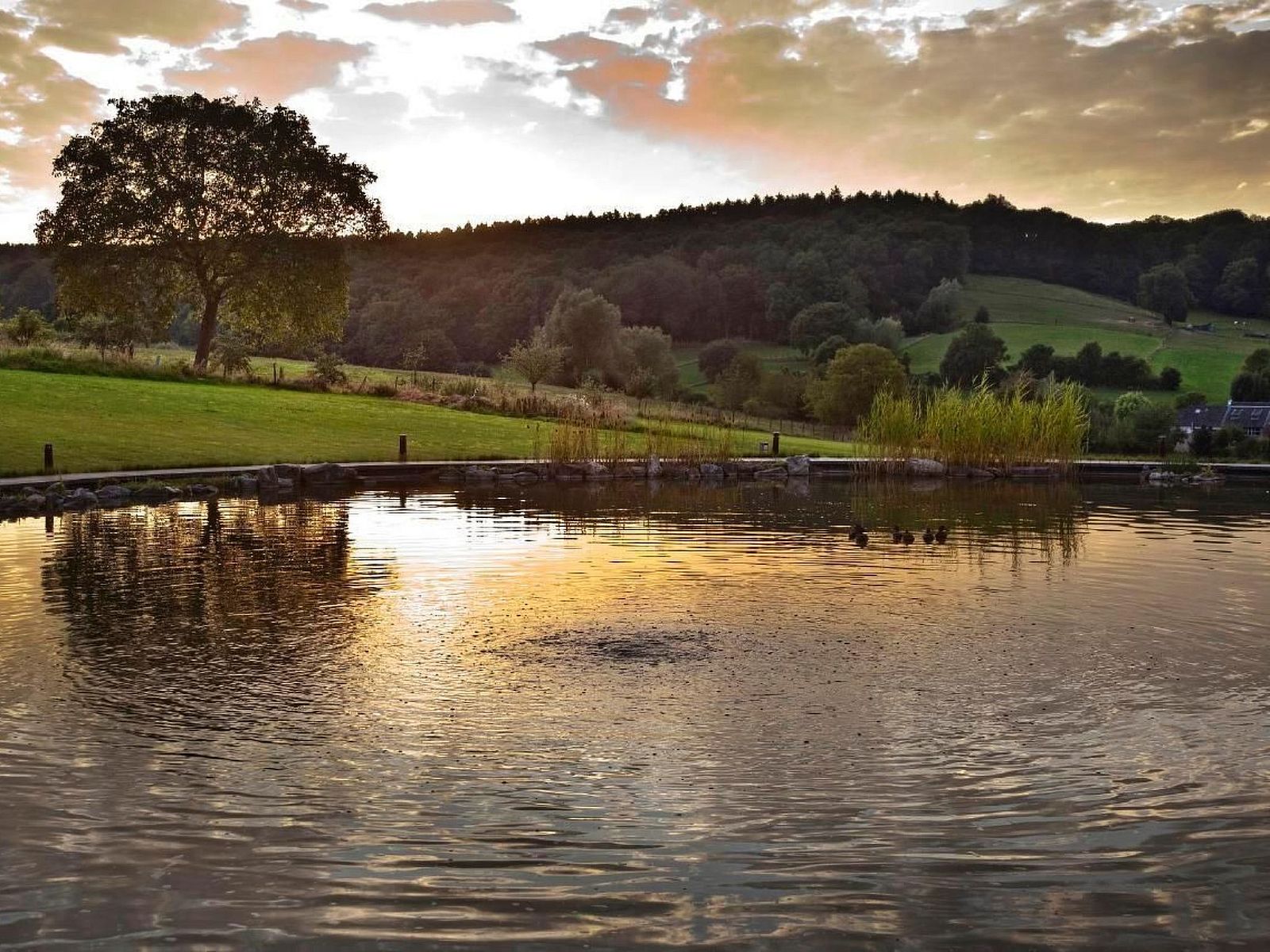 Guest house 390528 - Holiday property Zuid Limburg - Vakantiehuis A gen beuke