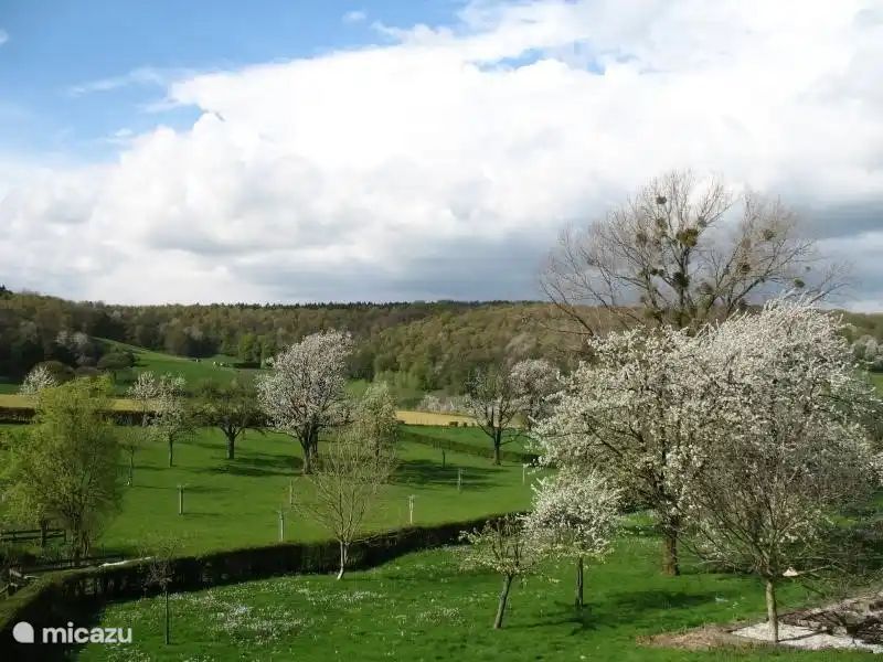 Guest house 390554 - Apartment Zuid Limburg - Buitenverblijf `t Herfse - 3
