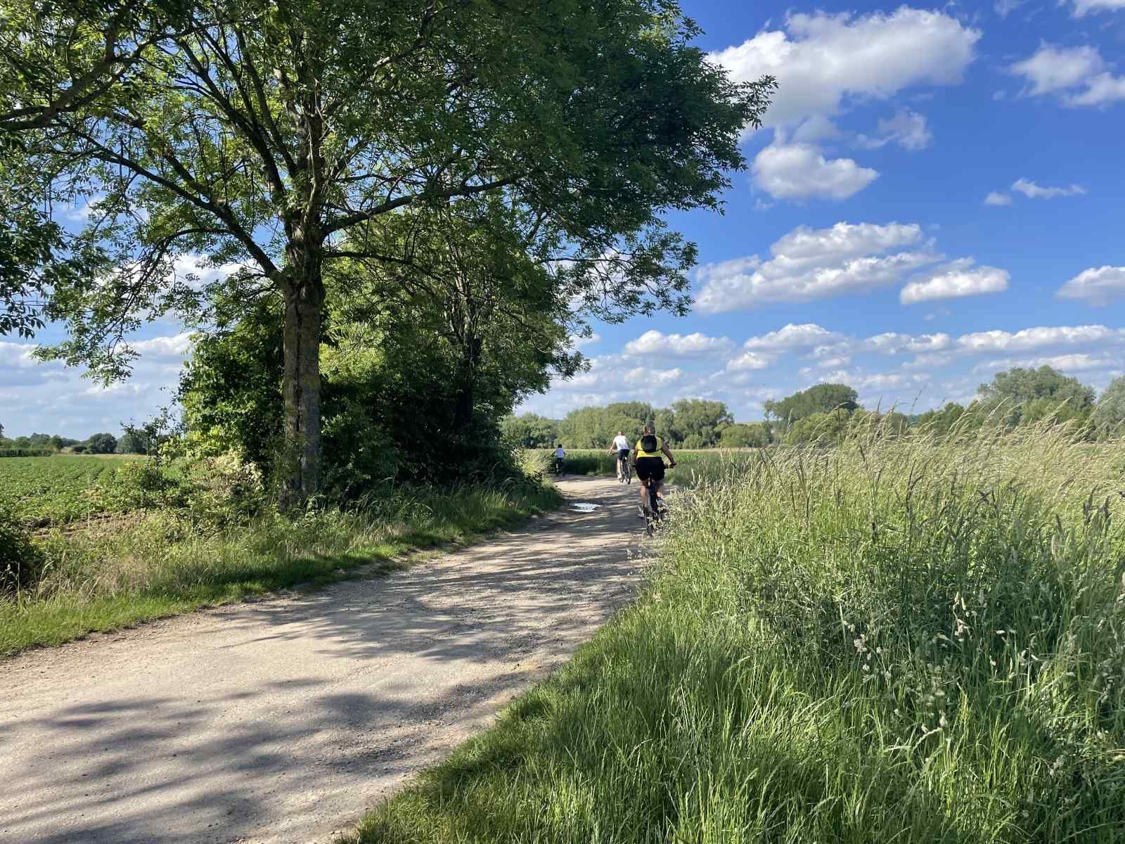 Stylish dining room in vacation home L243 in Mechelen, South Limburg with wooden table and chairs.