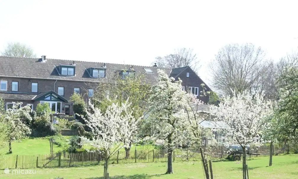 Unterkunft 390568 - Ferienhaus Zuid Limburg - Hoeve Schevey