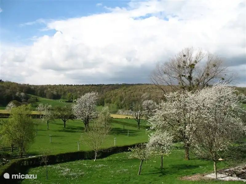 Unterkunft 390569 - Appartement Zuid Limburg - Buitenverblijf `t Herfse - 4