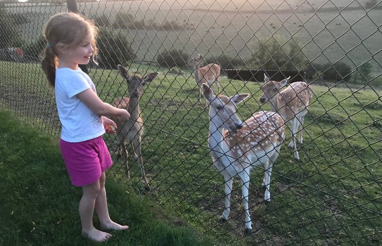 Kinderen voeren herten bij Vakantiehuisje in Schin op Geul, Zuid Limburg.