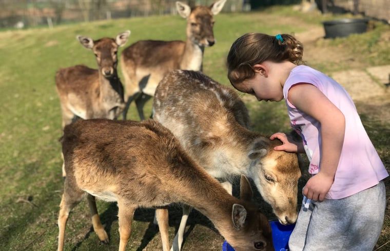 Dierenliefde bij Vakantiehuisje in Schin op Geul, Zuid Limburg, Limburg.