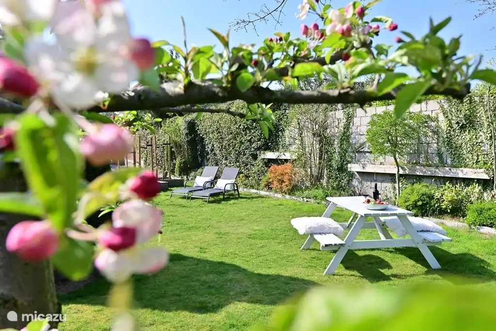 Verblijf 390829 - Appartement Zuid Limburg - Vakantiehuisje Lief