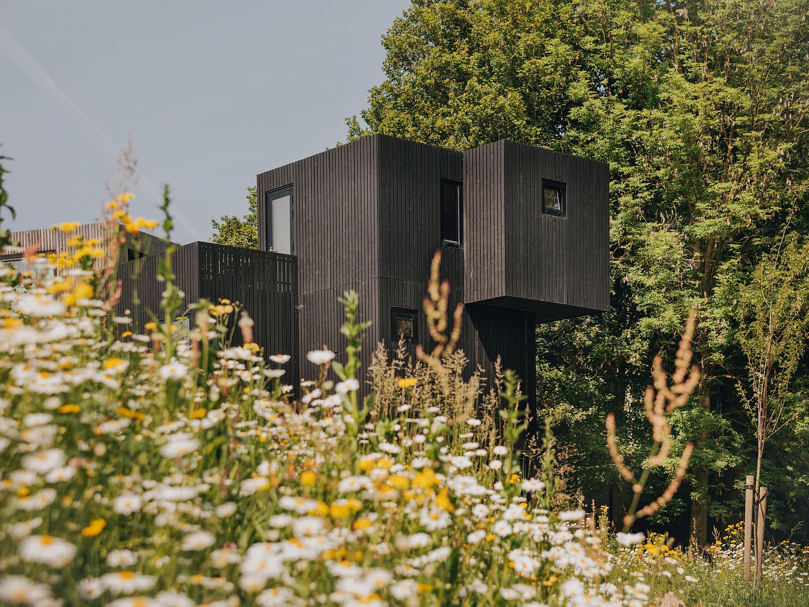 Verblijf 3909115 - Vakantiewoning Zuid Limburg - Geschakelde woning in Gulpen