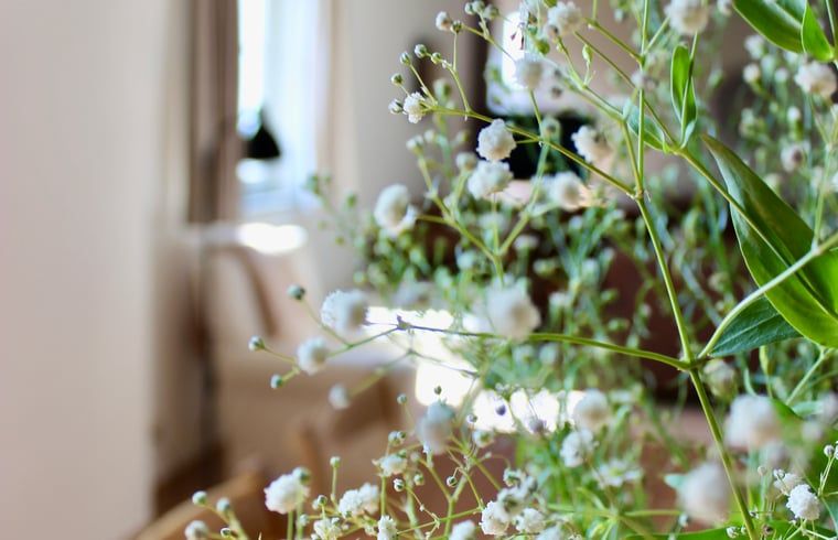 Verblijf 3909118 - Vakantiewoning Zuid Limburg - Vakantiehuisje in Gulpen