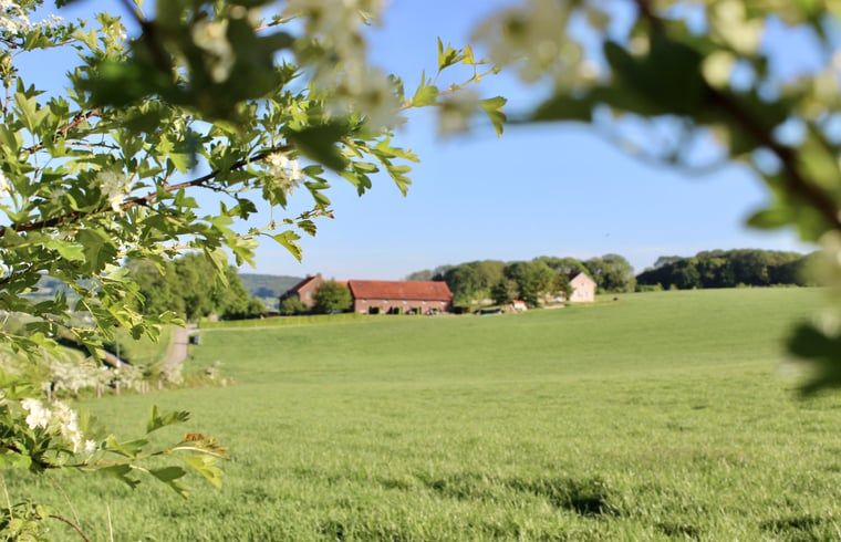 Rustiek uitzicht op Vakantiehuisje in Gulpen, gelegen in het groene landschap van Zuid Limburg, perfect voor natuurliefhebbers.