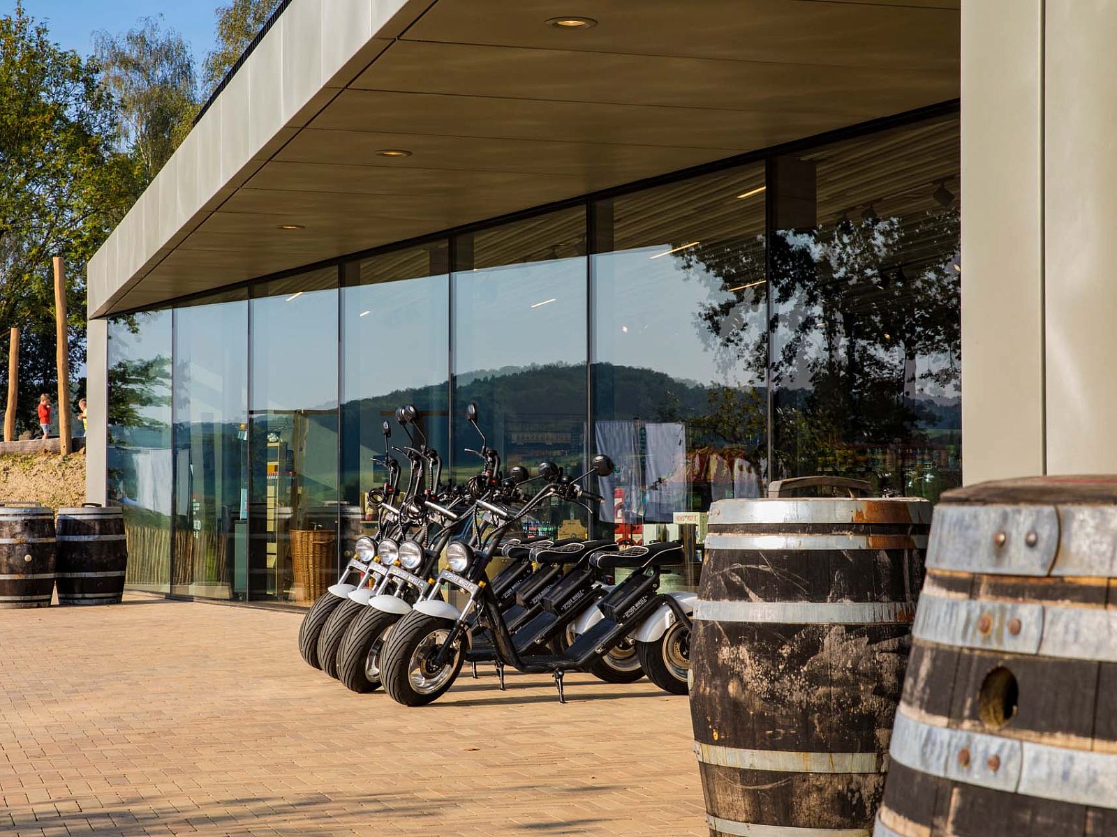 Guest house 3909145 - Holiday property Zuid Limburg - Geschakelde woning in Gulpen