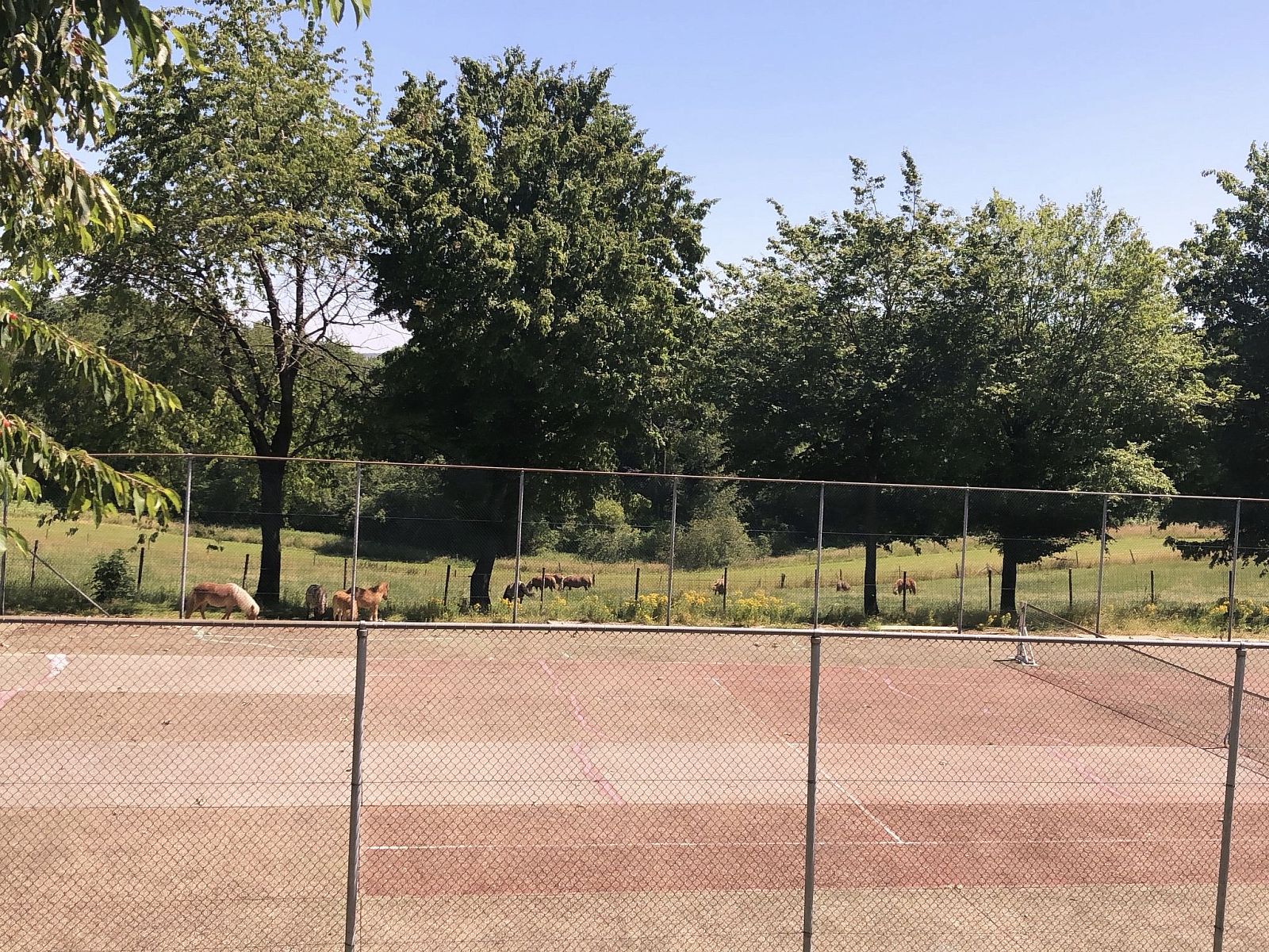 Guest house 3909154 - Holiday property Zuid Limburg - Vakantiehuis Bungalowpark Landsrade