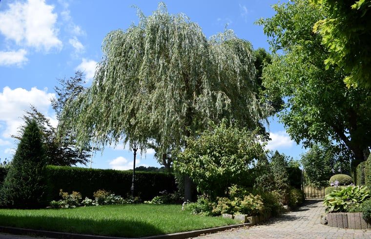 Verblijf 390920 - Vakantiewoning Zuid Limburg - Vakantiehuis in Gulpen