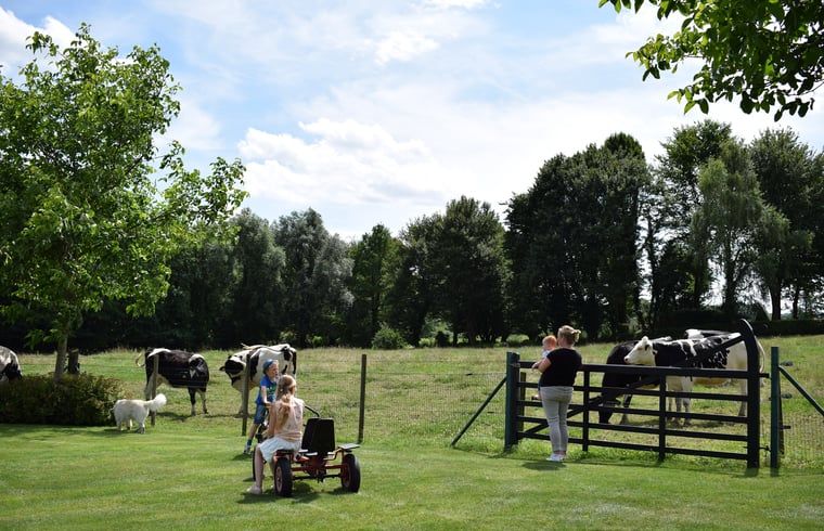 Verblijf 390920 - Vakantiewoning Zuid Limburg - Vakantiehuis in Gulpen