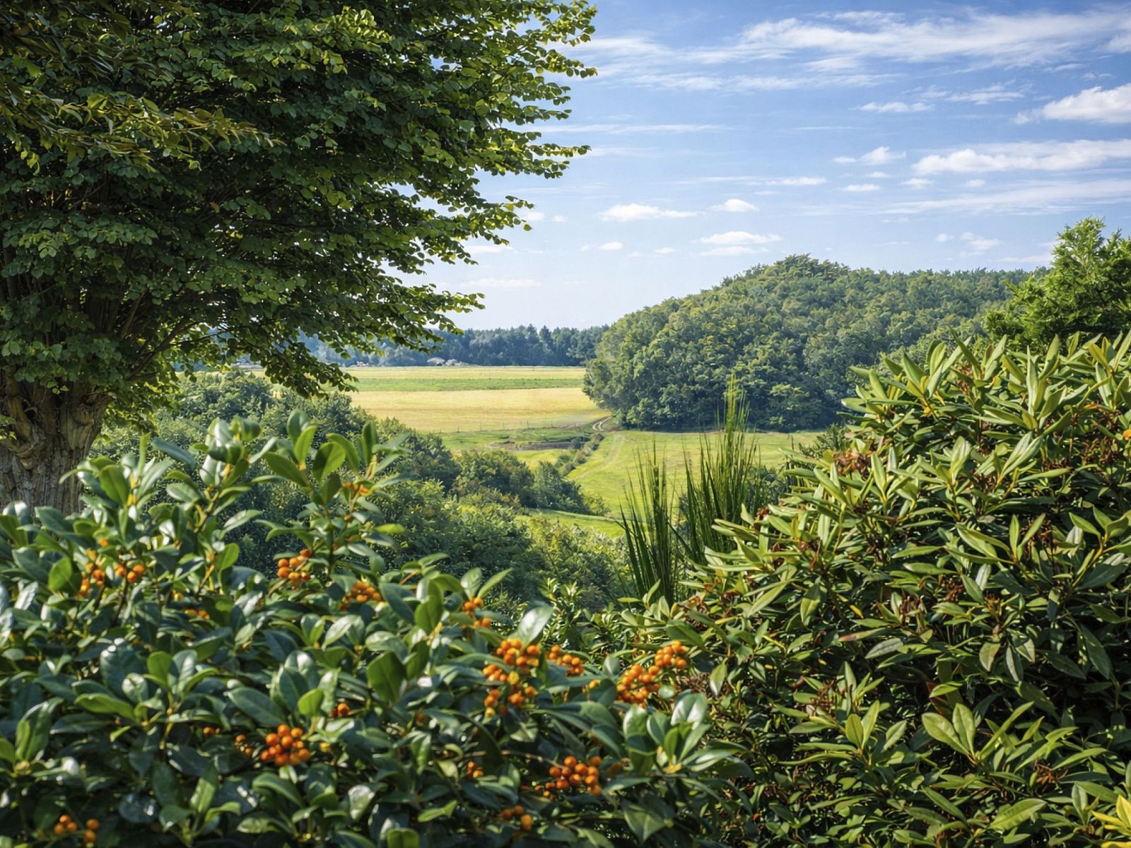 Verblijf 390923 - Vakantiewoning Zuid Limburg - Vakantiehuis Bungalowpark Landsrade