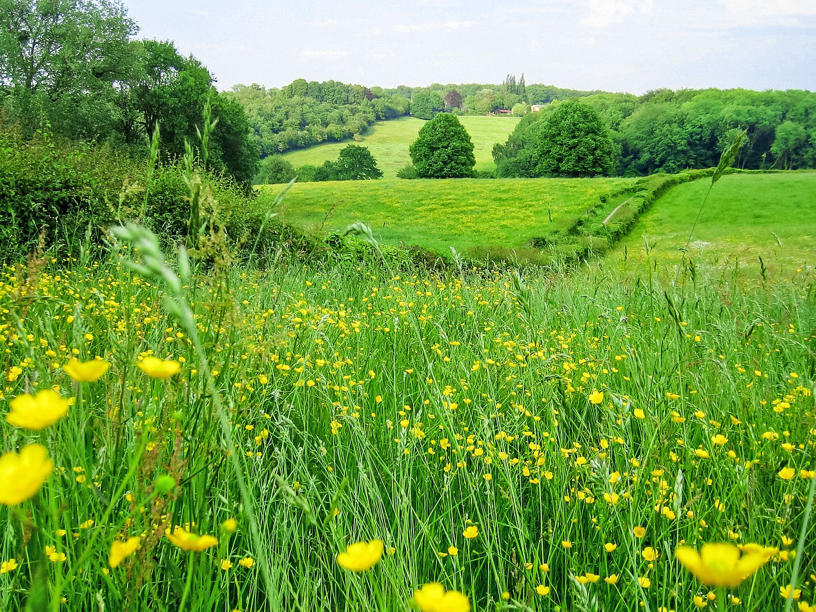 Verblijf 390926 - Vakantiewoning Zuid Limburg - Vakantiehuis Bungalowpark Landsrade