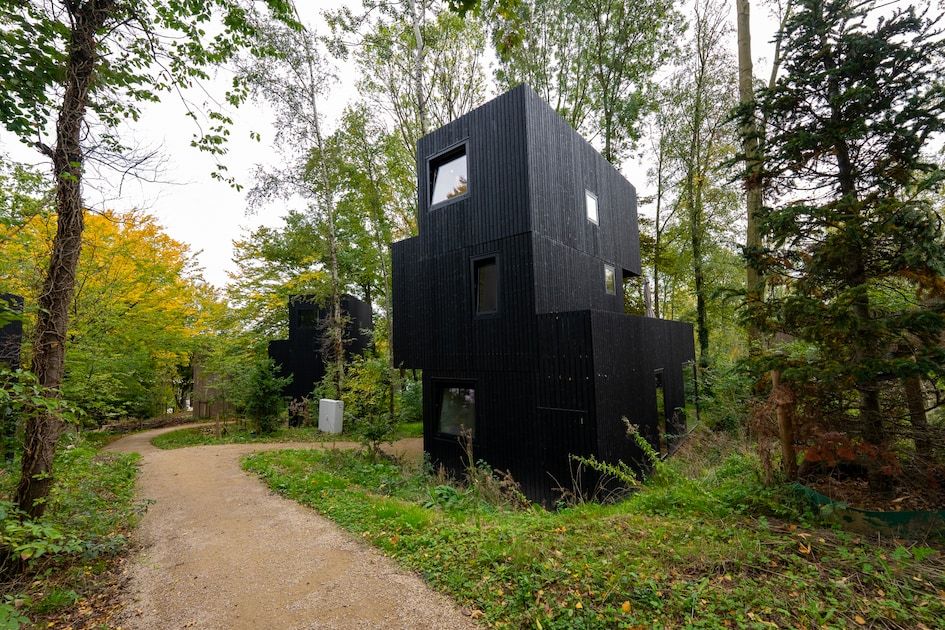 Verblijf 390950 - Vakantiewoning Zuid Limburg - Treehouse 6