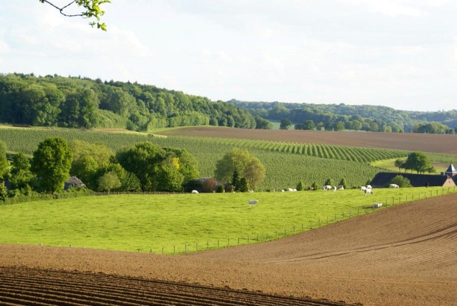 Guest house 391101 - Holiday property Zuid Limburg - Domein Hellebeuk