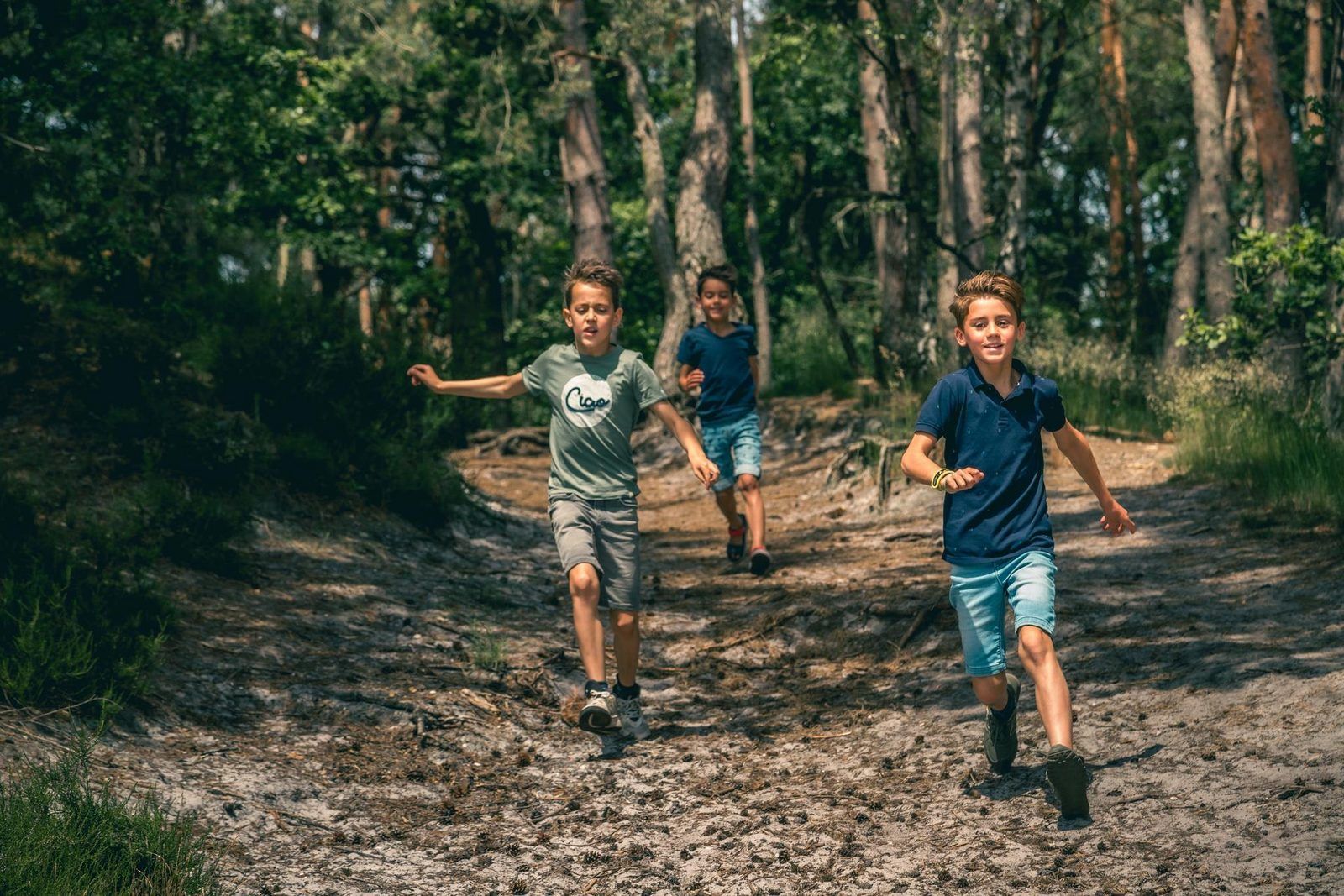 Unterkunft 391409 - Ferienhaus Zuid Limburg - L-Pavilion