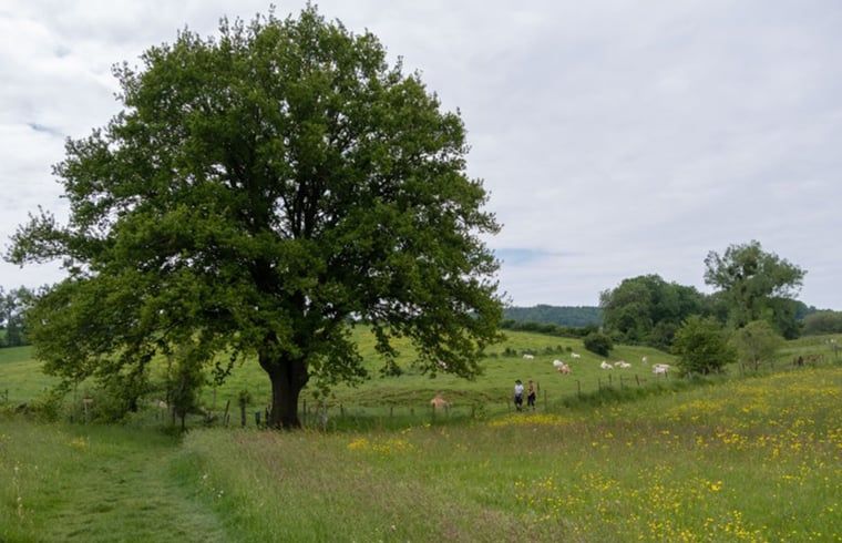 Unterkunft 391629 - Ferienhaus Zuid Limburg - Vakantiehuis in Epen
