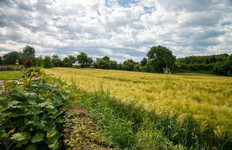 Unterkunft 391730 - Ferienhaus Zuid Limburg - Huisje in Vijlen