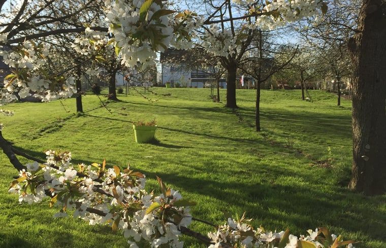 Guest house 392209 - Holiday property Zuid Limburg - Huisje in Banholt