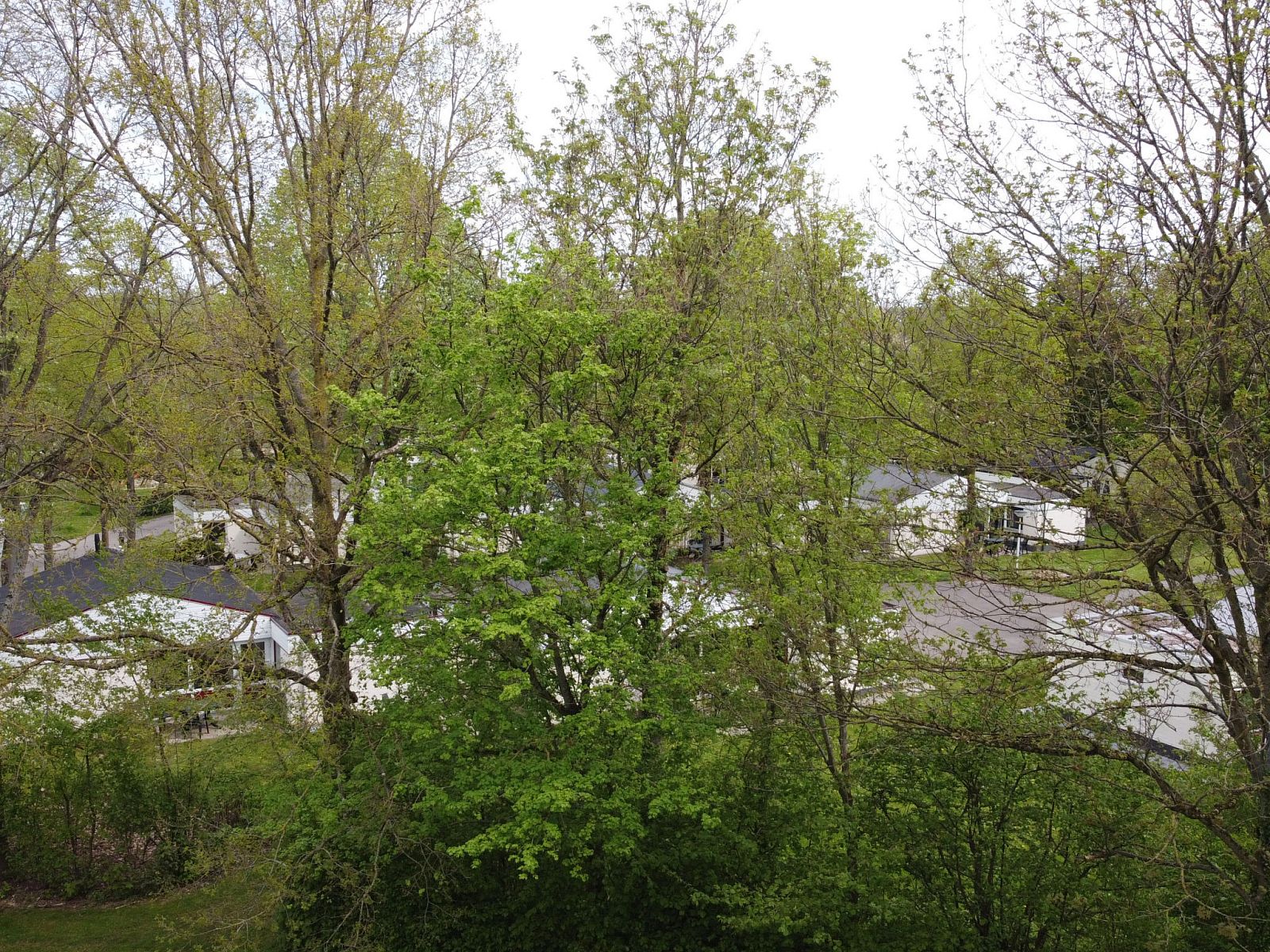 Guest house 393919 - Holiday property Zuid Limburg - Vakantiehuis Bungalowpark Simpelveld - Alpha 75