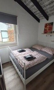 Unterkunft 393956 - Bungalow Zuid Limburg - Korenwolf