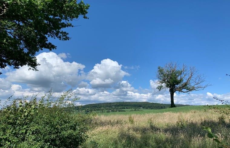 Prachtige natuur rondom vakantiehuis Sint Geertruid, Limburgse landschap.