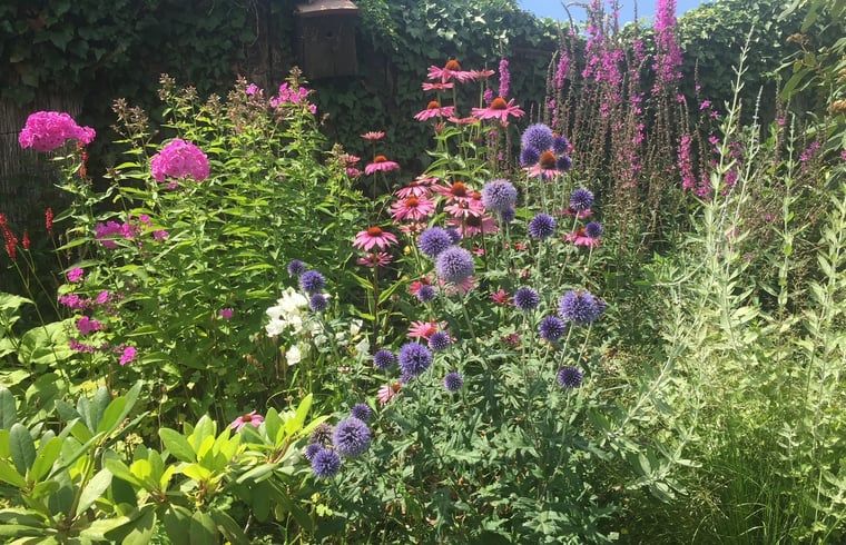 Kleurrijke bloementuin bij vakantiehuis Sint Geertruid, Zuid Limburg.