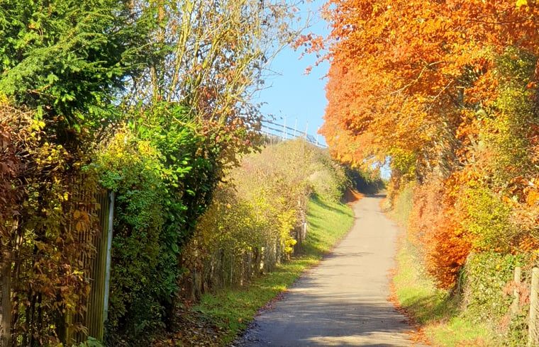 Rustikaler Weg in der Naehe des Ferienhauses in Valkenburg aan de Geul, ideal fuer Spaziergaenge.