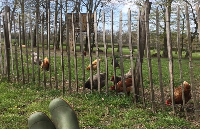 Unterkunft 395923 - Ferienhaus Zuid Limburg - Vakantiehuisje in Berg en Terblijt