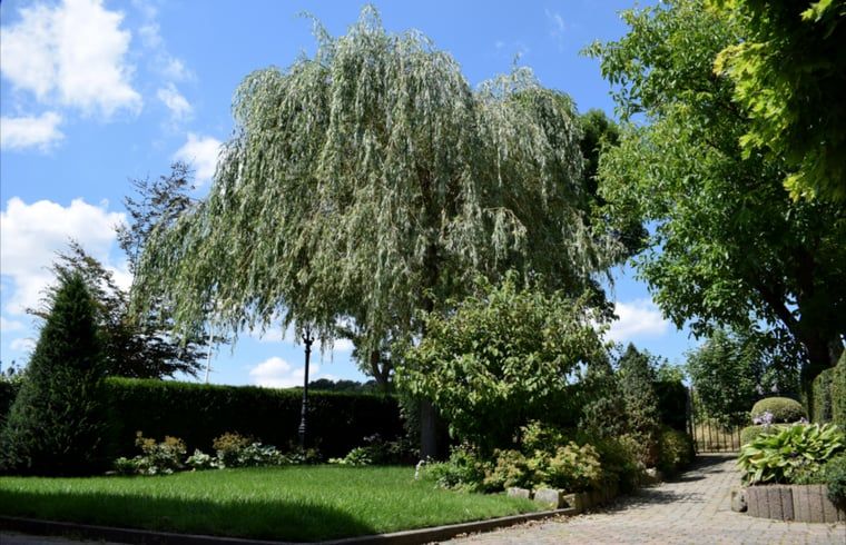 Erholsamer Garten im Ferienhaus in Gulpen - Wittem, umgeben von gruener Natur in Suedlimburg, ideal zum Entspannen.