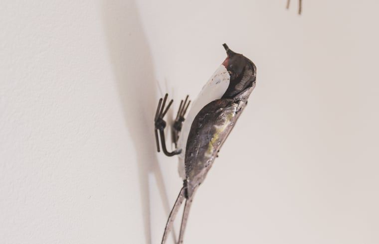 Artistieke vogelwanddecoratie in Vakantiehuis in Scheulder, Zuid Limburg.