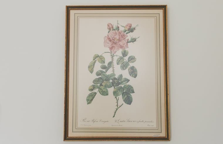 Elegante bloemenprint aan de muur in Vakantiehuis in Scheulder, Zuid Limburg.